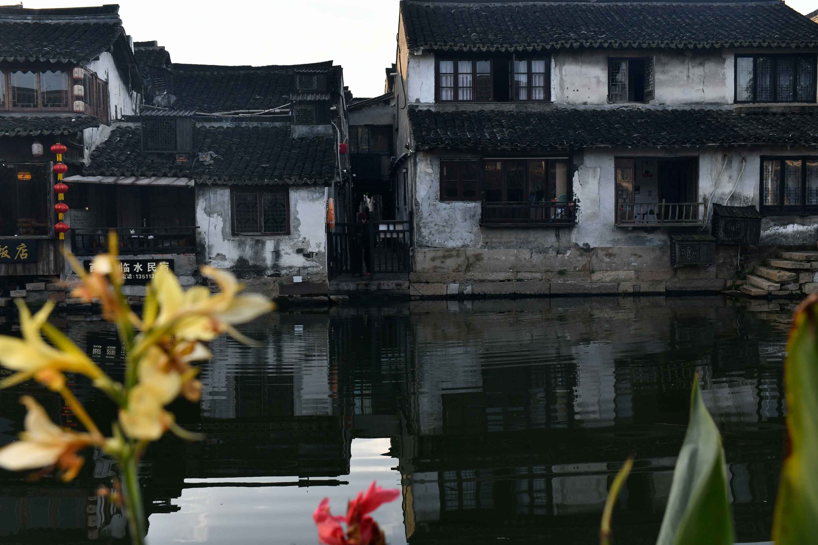 1763428076646113.jpg _DSC1089.jpg